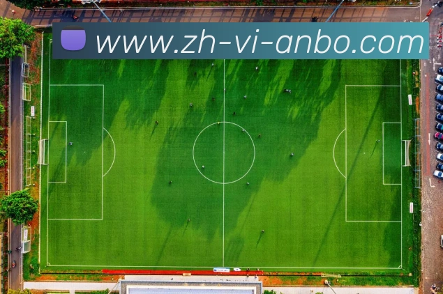 App Interface Preview